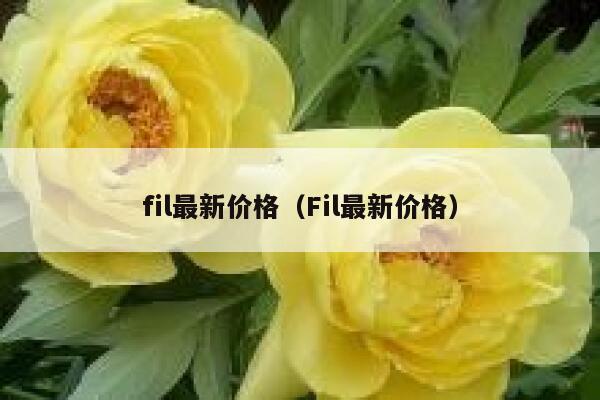 泰达币官网版下载app 泰达币官方安卓版-第6张图片-欧易交易所