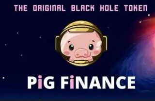 pig币下载链接 pig平台手机端