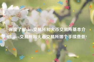 binance下载最新官方app-深度了解ok 交易平台和火币 交易平台基本介绍 ok 交易平台和火币 交易平台哪个手续费低